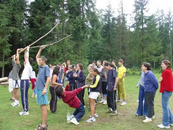 Tabărăși într-un joc de echipă cu crengi lungi, în poiană