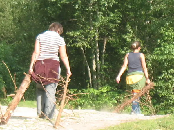 Tabărăși cărând crengi din pădure pentru focul de tabără
