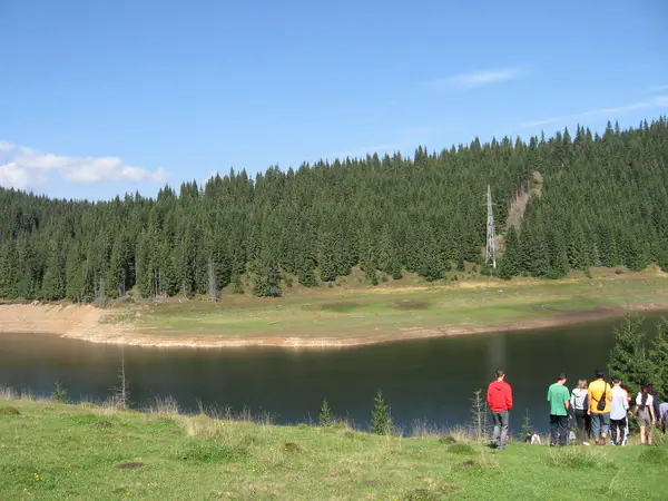 Tabărăși pe malul înierbat al unui lac de munte înconjurat de pădure de brazi