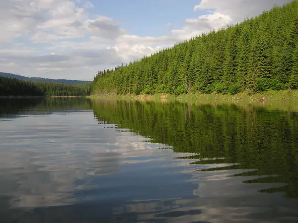 Lac liniștit în care se oglindesc pădurea de brazi și norii