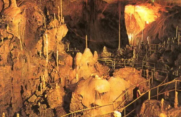 Pasarelă pentru vizitatori șerpuind printre stalagmite aurii în Peștera Urșilor