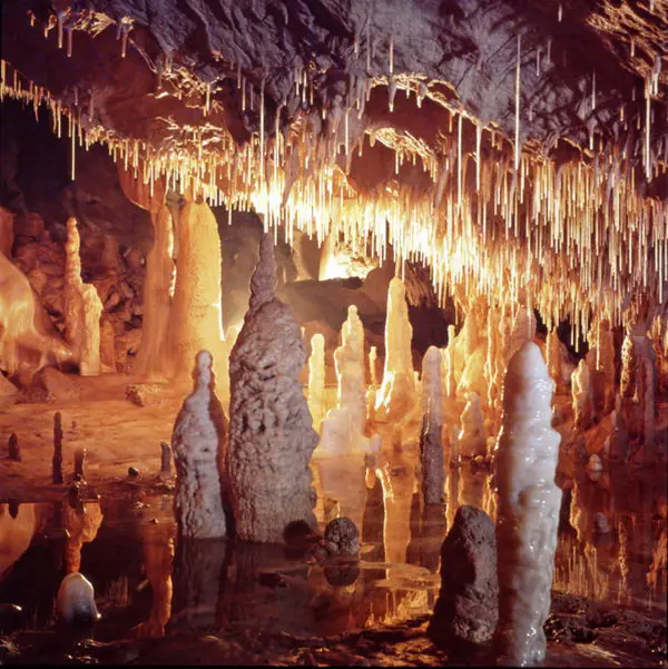 Stalactite și stalagmite oglindite într-un lac subteran în Peștera Urșilor