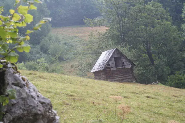 Colibă veche din lemn pe o pantă înierbată, la marginea pădurii, în Poiana Florilor